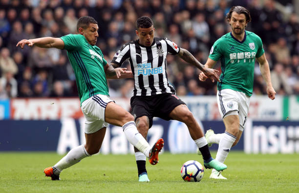 托雷此次被 托雷此次被